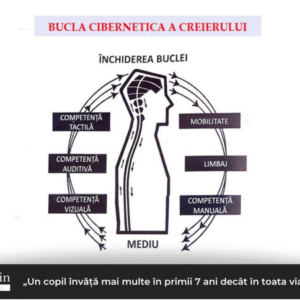 SMART BRAIN SPECIAL NEEDS